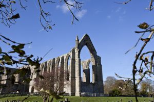 bolton abbey 10 sm.jpg